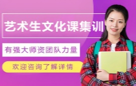 博大艺术文化课培